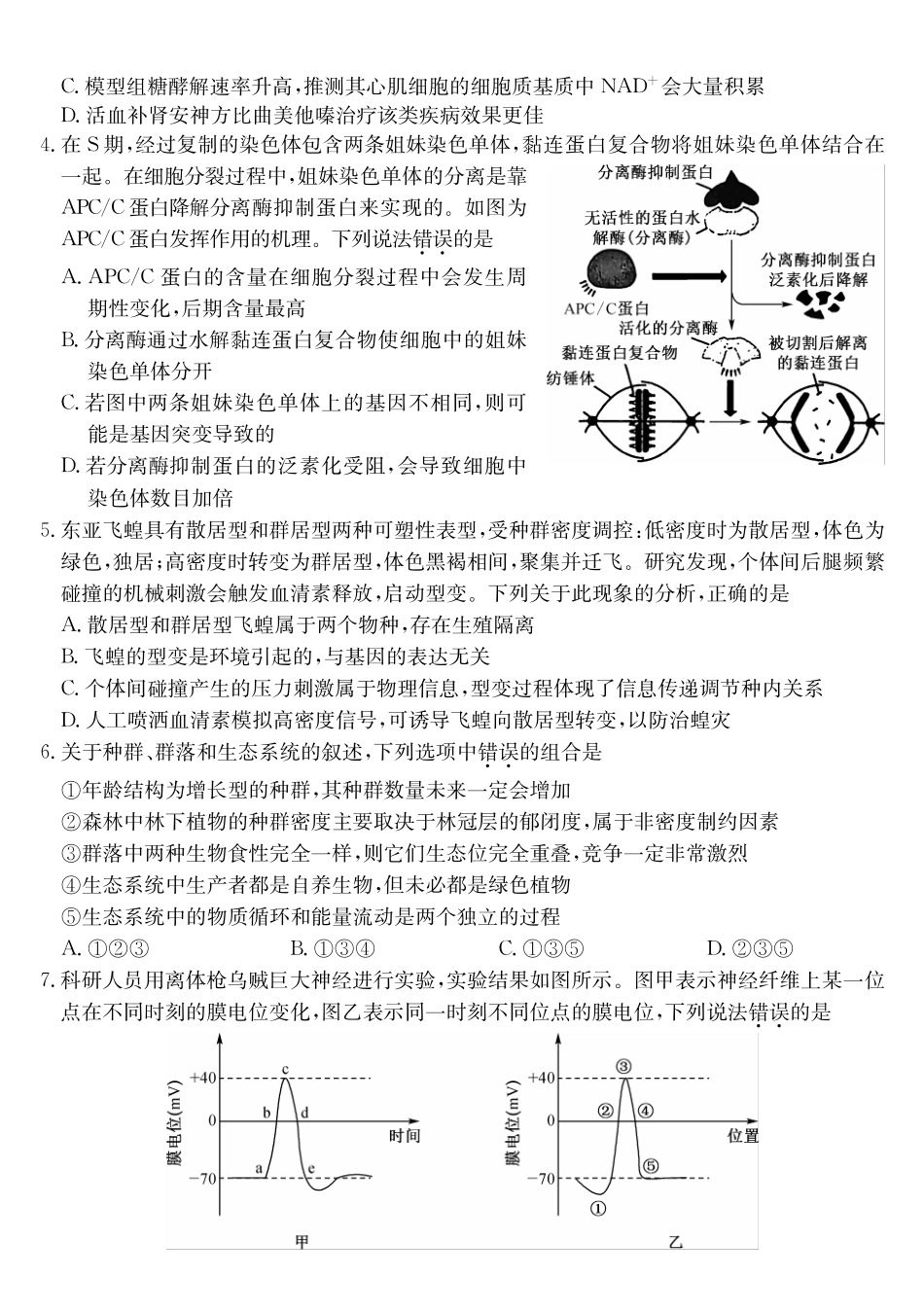 安徽县中联盟&皖北五校2026届高三5月检测(26-X-617C)生物.pdf_第2页