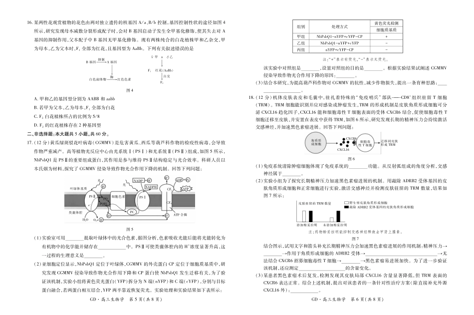 高三年级5月高考大练兵生物.pdf_第3页