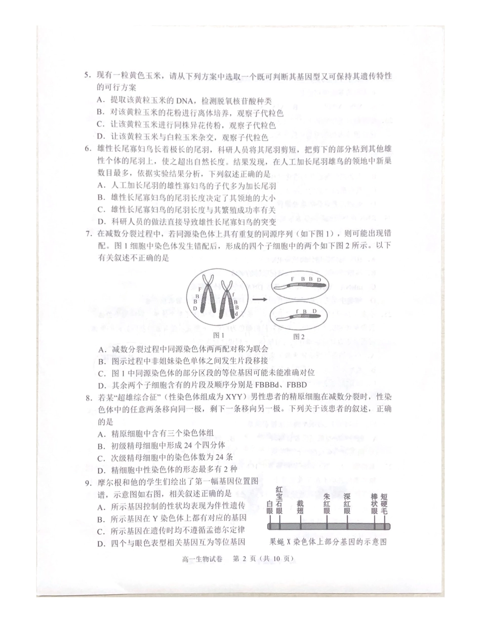 广东大湾区2024-2025学年高一下学期期末考试生物试题_副本.pdf_第2页