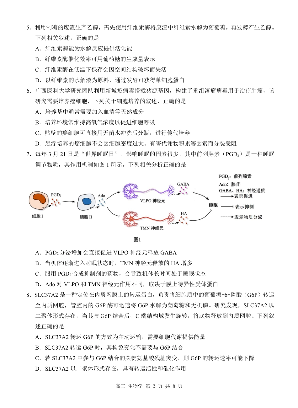 广西桂林市普通高中2026届高三毕业年级第一次适应性模拟考试生物学试题.pdf_第2页