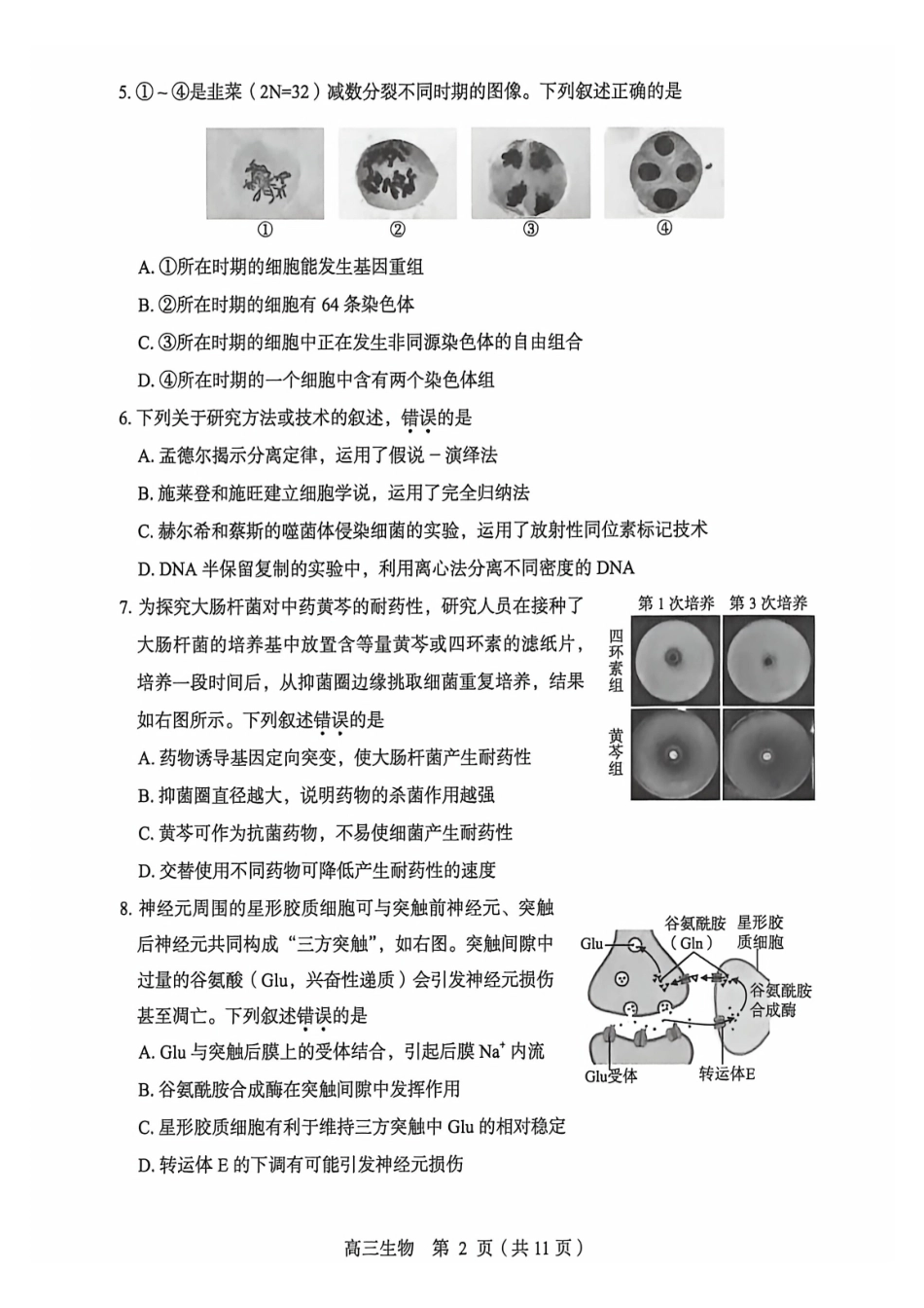 生物+答案北京市丰台区2025-2026学年度第二学期高三年级综合练习(二)(丰台高三二模)(5.6-5.9).pdf_第2页