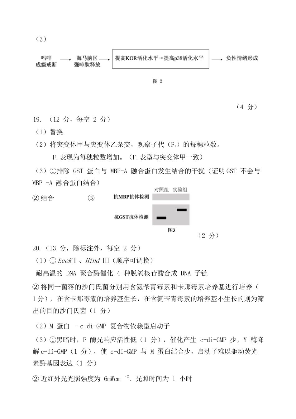 生物福建漳州市2026届高中毕业年级高三年级教学质量检测(漳州高三三检)(5.7-5.9).docx_第2页