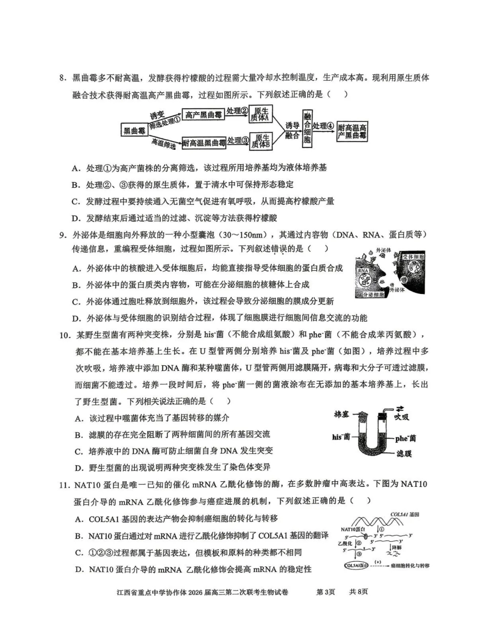 生物江西重点中学协作体2026届高三年级第二次联考(5.7-5.8).pdf_第3页