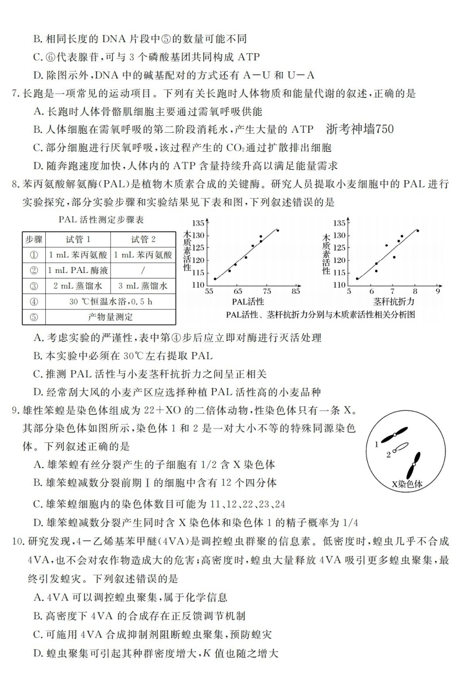 生物卷-2603高二强基联盟.pdf_第2页