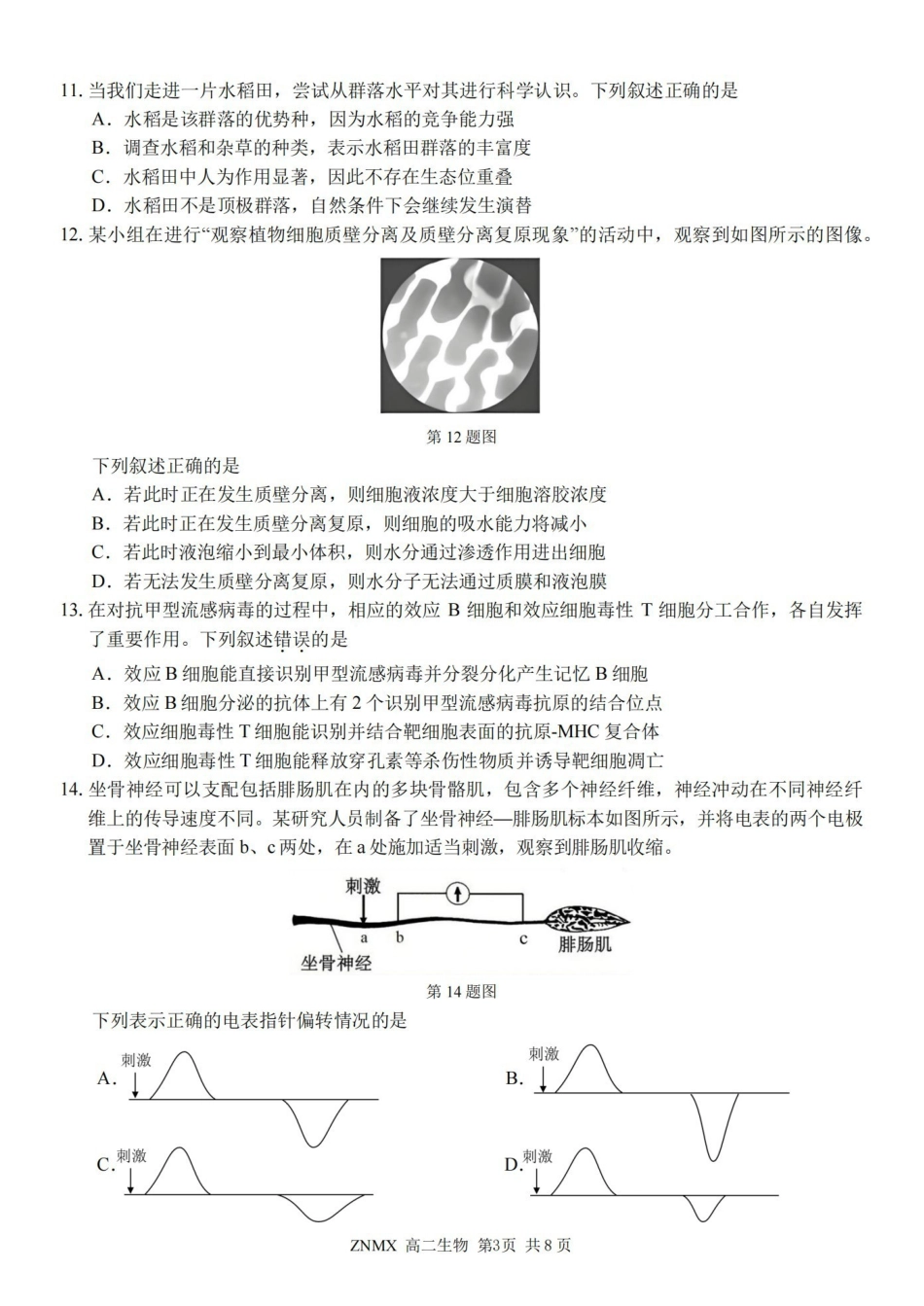 生物卷-2603高二浙南名校.pdf_第3页