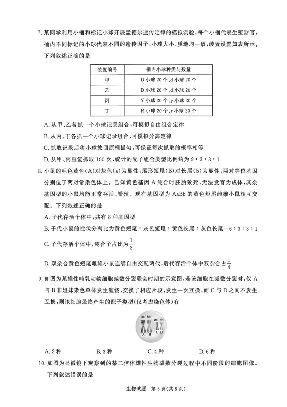 生物普通高中2025—2026学年(下)高一年级期中考试(1).pdf_第3页