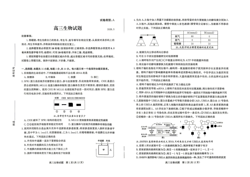 生物山东滨州市2026年高三年级二模考试(滨州高三二模)(5.7-5.9).pdf_第1页