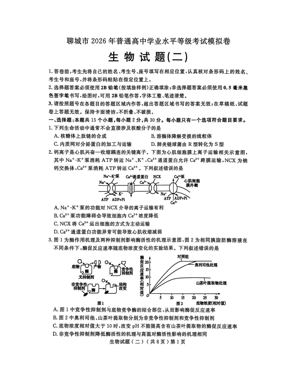 生物山东聊城市2026年普通高中学业水平等级考试模拟卷(聊城高三二模)(4.25-4.27).pdf_第1页