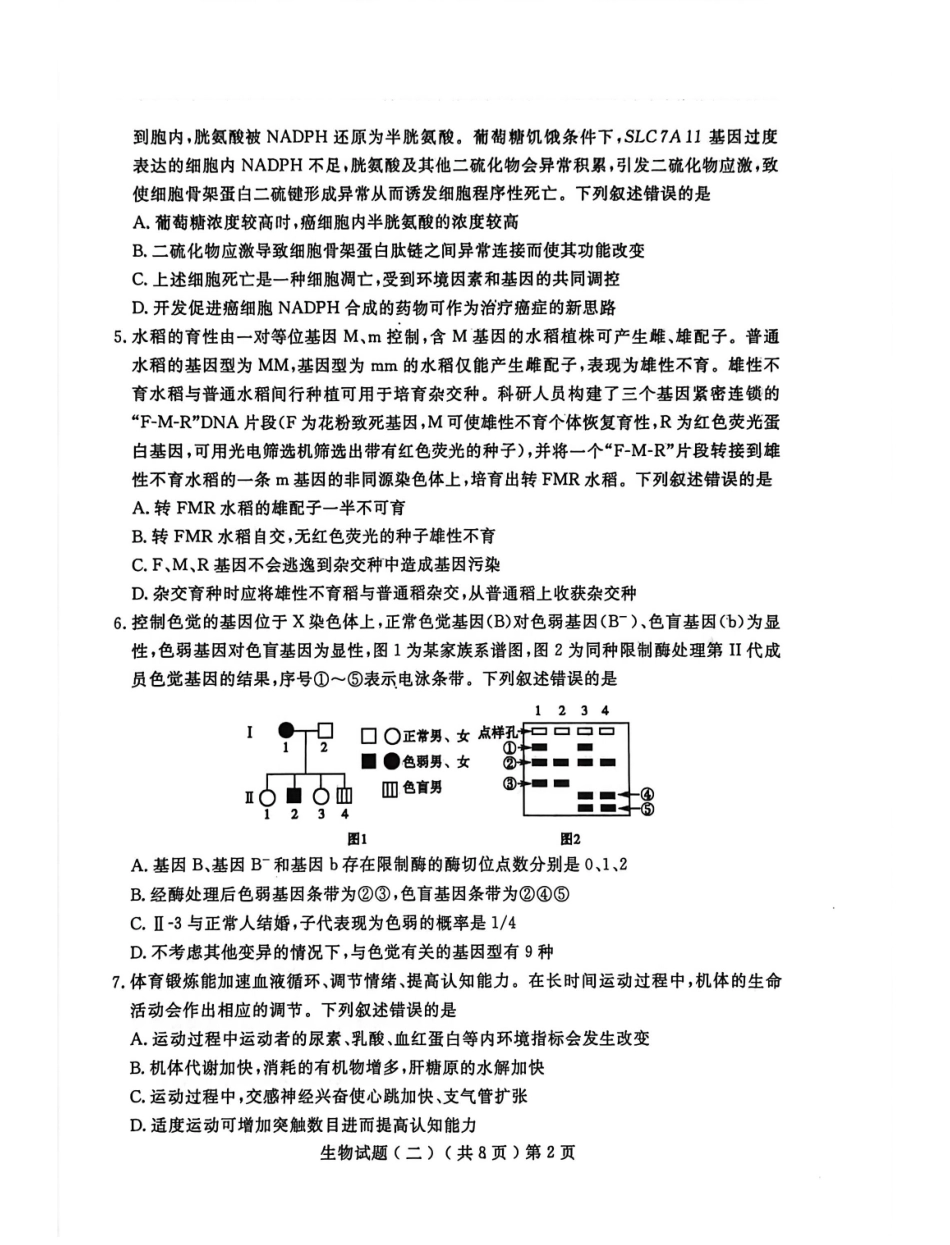 生物山东聊城市2026年普通高中学业水平等级考试模拟卷(聊城高三二模)(4.25-4.27).pdf_第2页