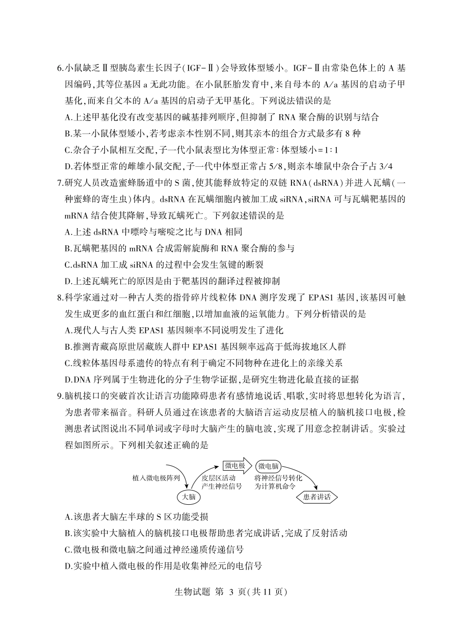 生物山东临沂市2026年普通高中学业水平等级考试模拟试题(临沂高三二模)(5.7-5.9).pdf_第3页