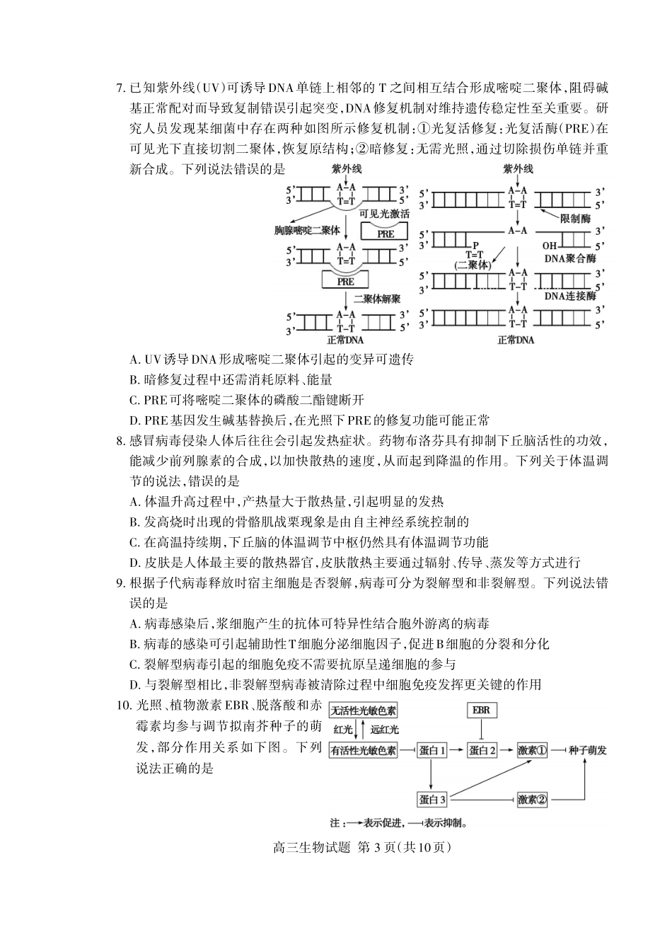 生物山东泰安市2026年5月高三年级三轮检测（泰安高三三模）（5.7-5.9）.pdf_第3页