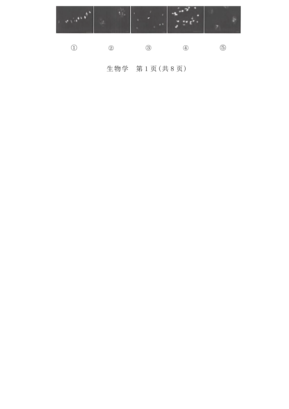 生物山西晋中市(TY大联考)2026年(届)5月高三年级模拟高考测试(晋中高三三模)(5.7-5.9).docx_第2页