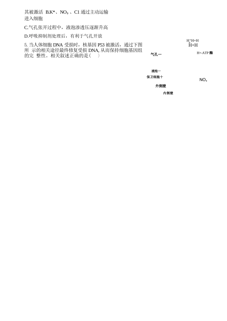 生物山西山西大学附中2025-2026学年第二学期高三年级5月（第十六次）模块诊断（5.9-5.10）.docx_第2页