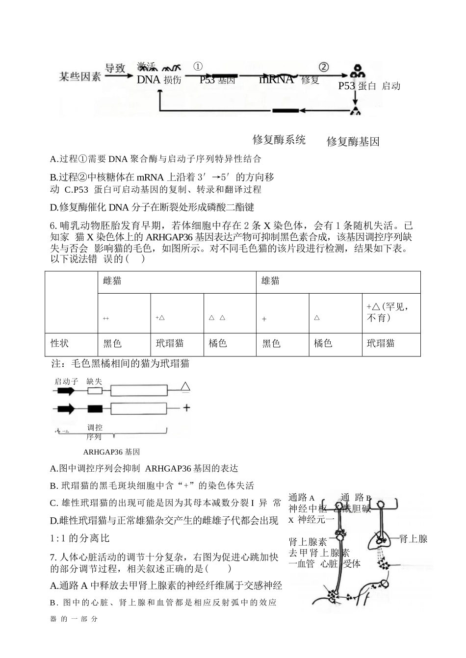 生物山西山西大学附中2025-2026学年第二学期高三年级5月（第十六次）模块诊断（5.9-5.10）.docx_第3页