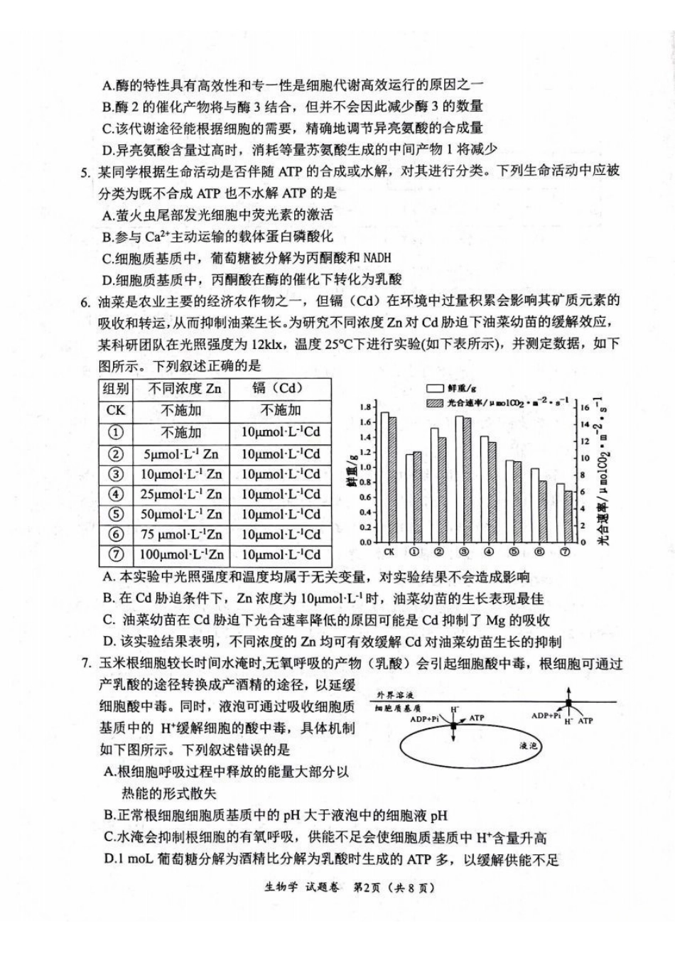 生物试卷四川“元三维大联考”2023级(2026届)高三第一次诊断考试(10.29-10.31).pdf_第2页