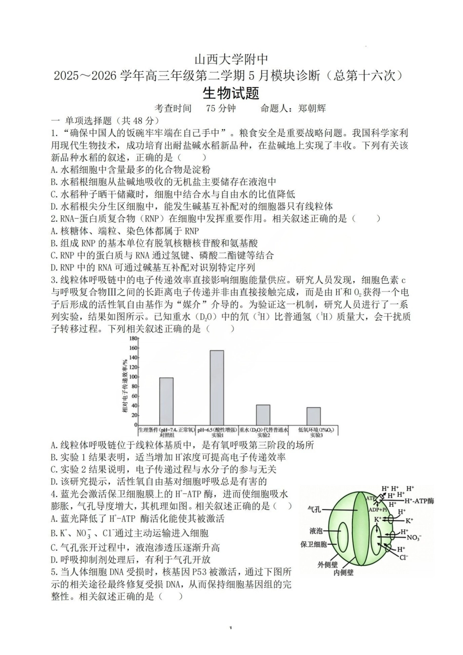 生物试题_山大附中2026届第二学期高三5月（第十六次）模块诊断-dd763ab21812.pdf_第1页