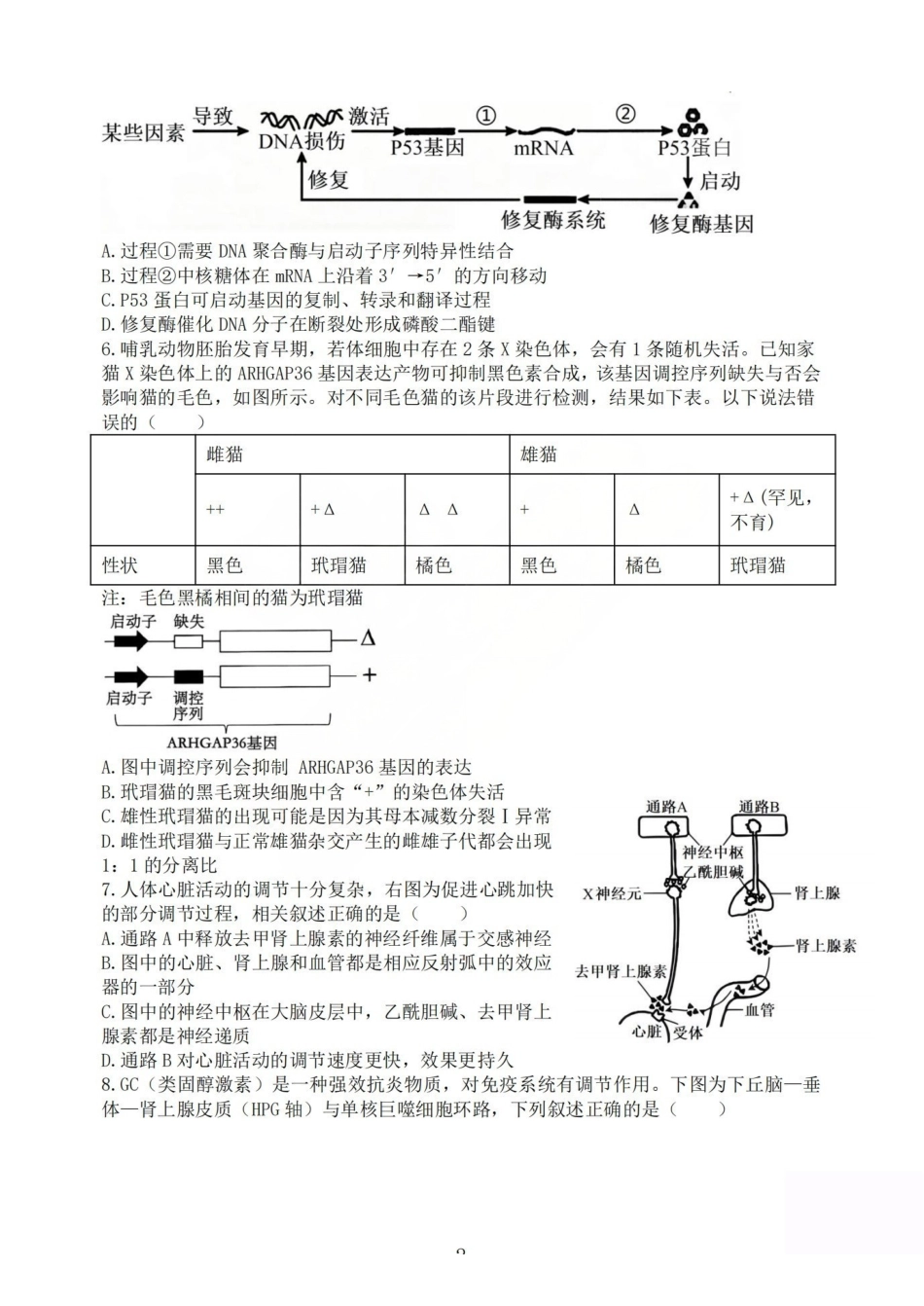 生物试题_山大附中2026届第二学期高三5月（第十六次）模块诊断-dd763ab21812.pdf_第2页