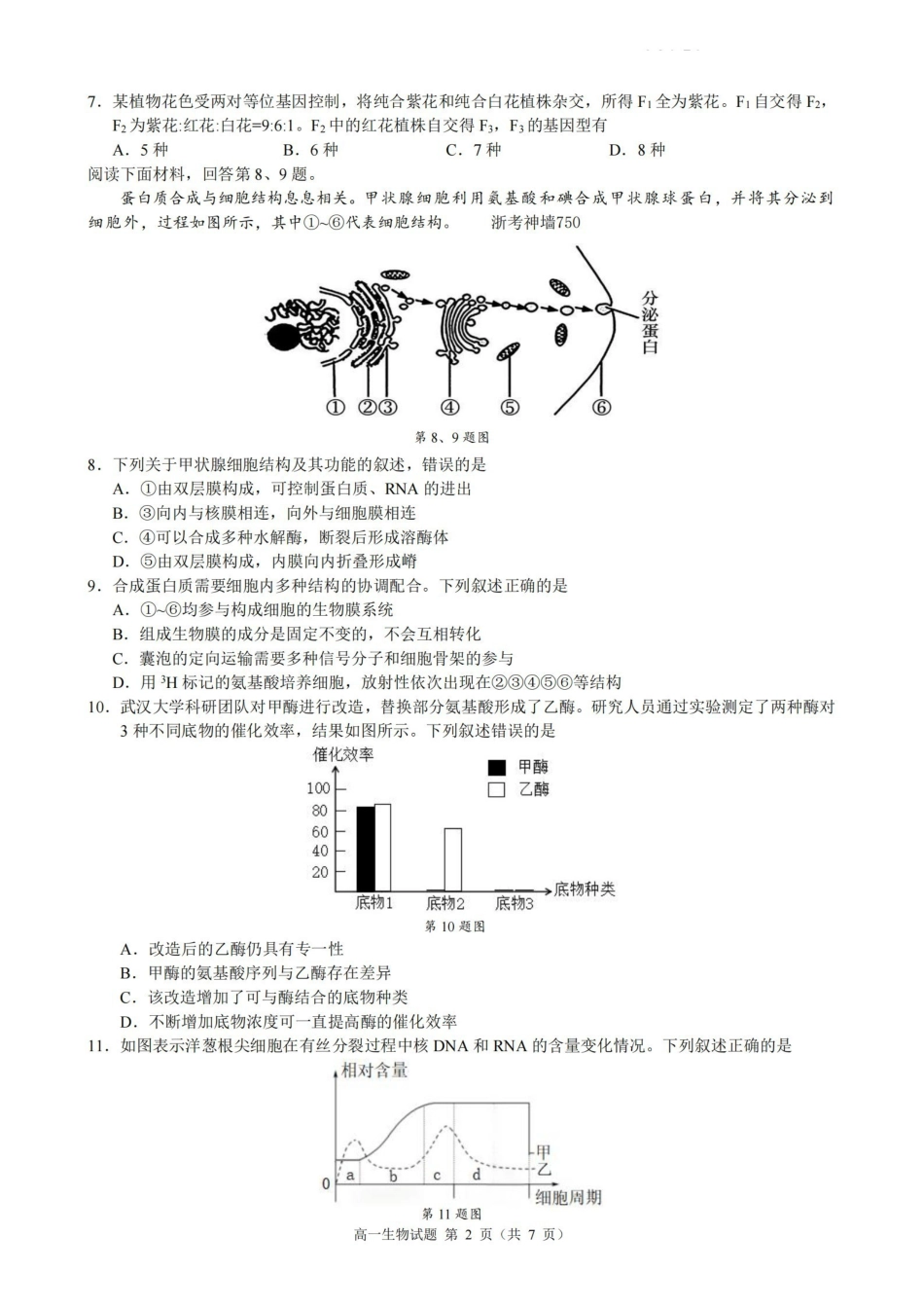 生物浙江9+1联盟2025学年第二学期高一年级学业质量阶段调研暨期中联考(4.22-4.24).pdf_第2页