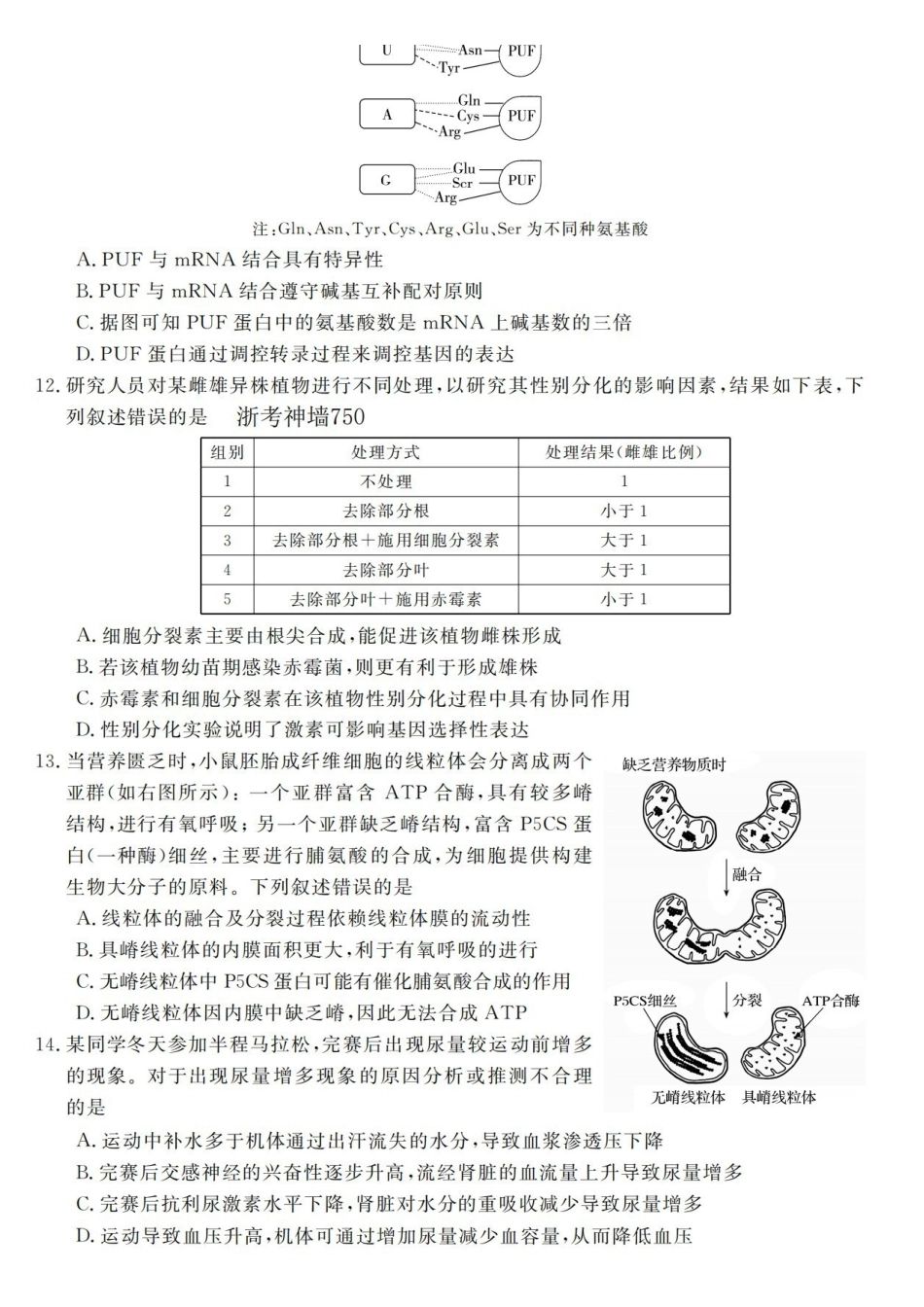 生物浙江强基联盟2026年高二年级4月题库暨期中联考(4.21-4.23).pdf_第3页