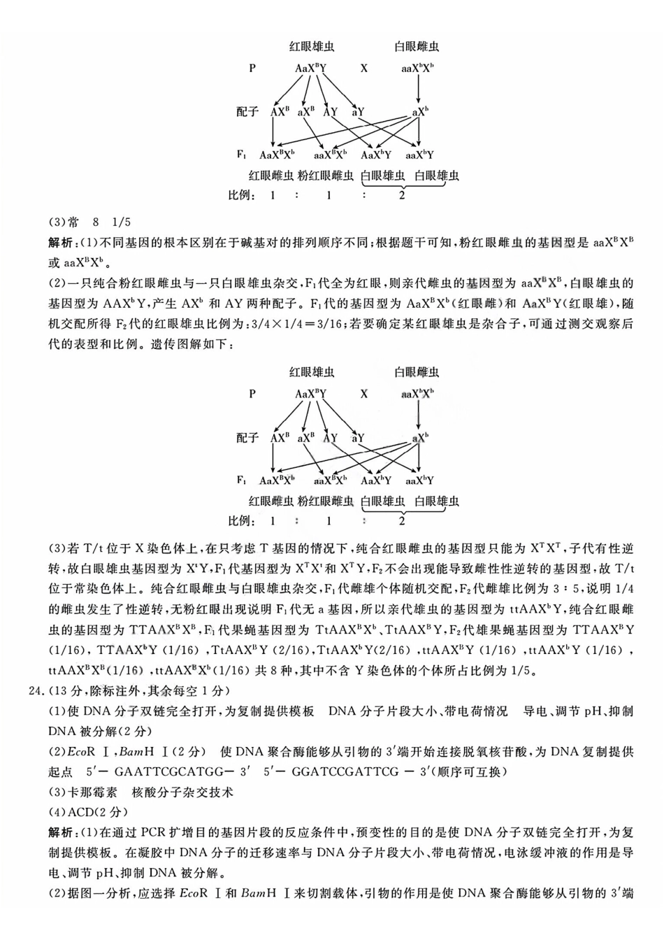 生物浙江强基联盟2026年高三年级5月题库(供题)(5.6-5.8)(1).pdf_第3页