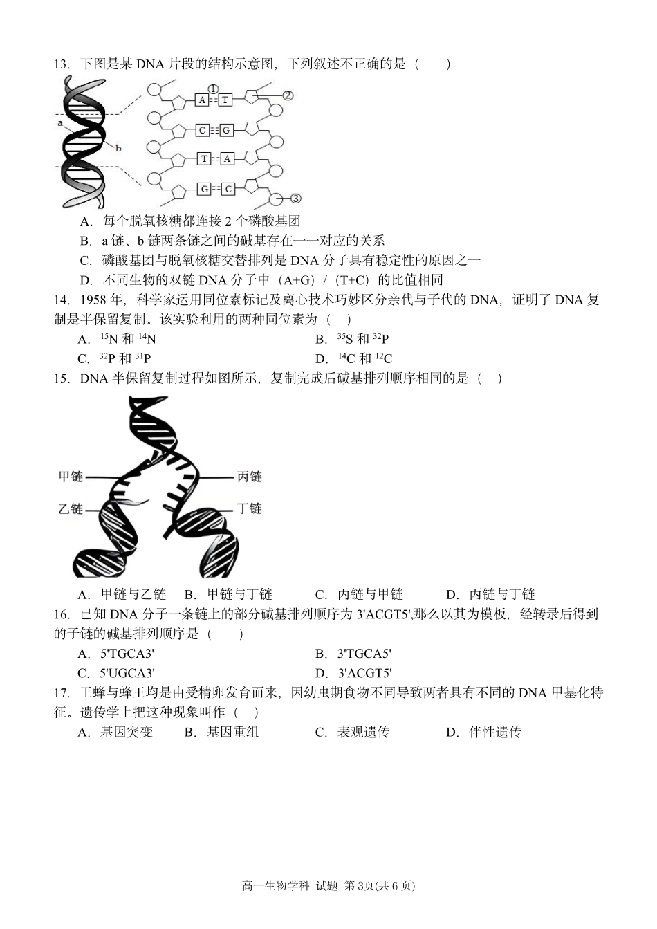 生物浙江台州市2025学年第二学期台州十校联盟高一年级期中联考(4.22-4.24).pdf_第3页