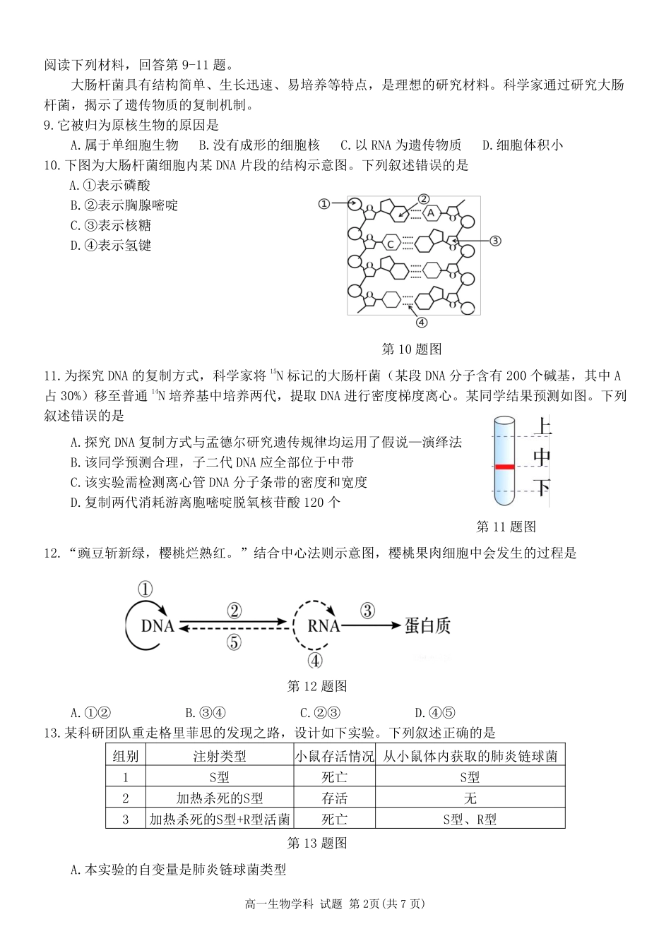 生物浙江温州市2025学年第二学期温州新力量联盟高一年级期中联考(4.22-4.24).pdf_第2页