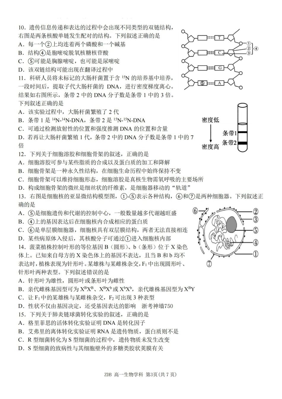 生物浙江浙东北联盟(ZDB)2025-2026学年第二学期高一年级下学期期中联考(5.6-5.8).pdf_第3页