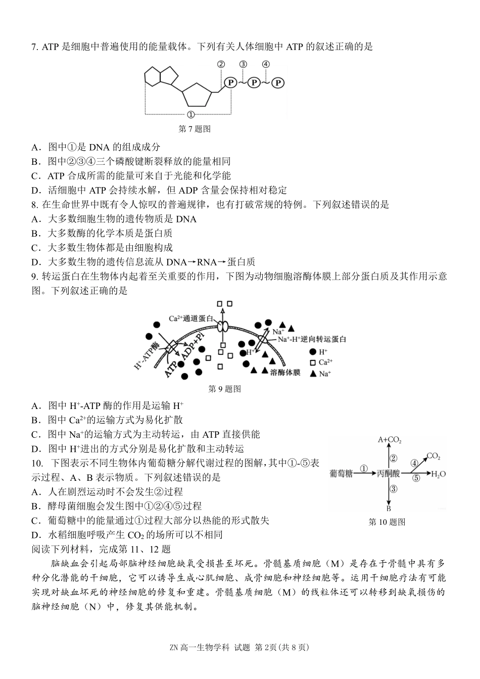 生物浙江浙南名校联盟2025学年第二学期高一年级期中学科联考(4.22-4.24).pdf_第2页