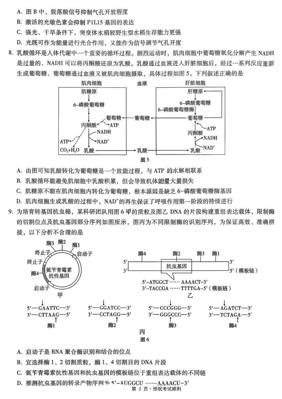 生物重庆市重庆八中高2026届高三年级5月适应性月考(七)(5.10-5.12).docx_第3页