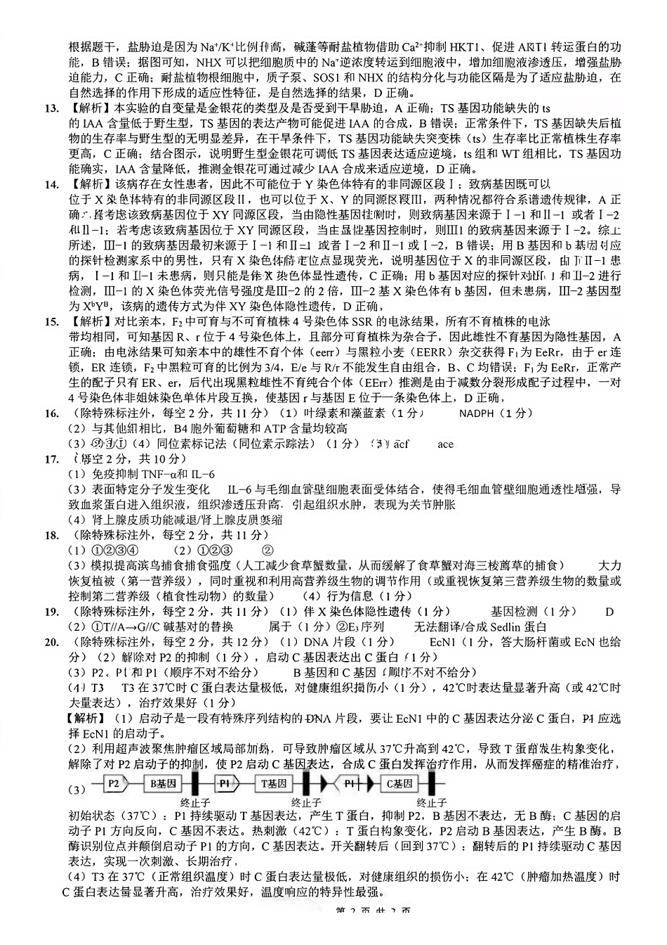 生物重庆市重庆八中高2026届高三年级5月适应性月考(七)(5.10-5.12).pdf_第2页