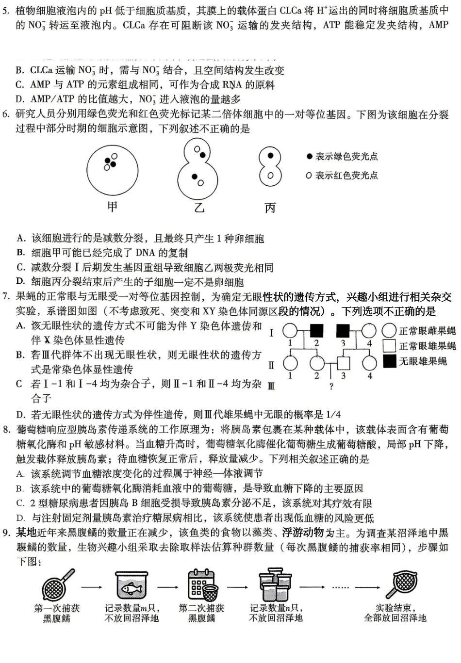 生物重庆市重庆一中搞2026届高三年级5月三诊考试(5.7-5.9).pdf_第2页