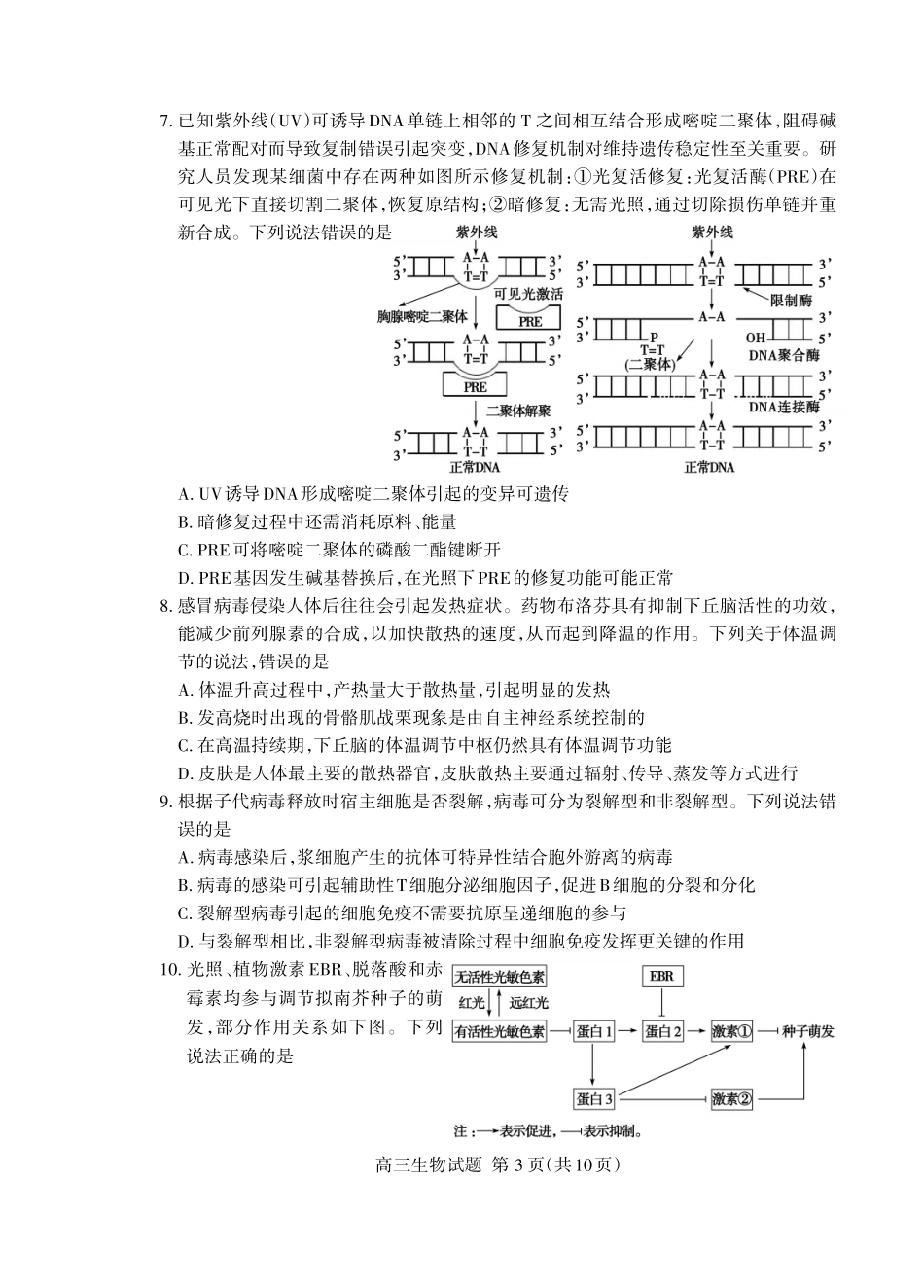 泰安市2026年5月高三三轮检测生物.pdf_第3页