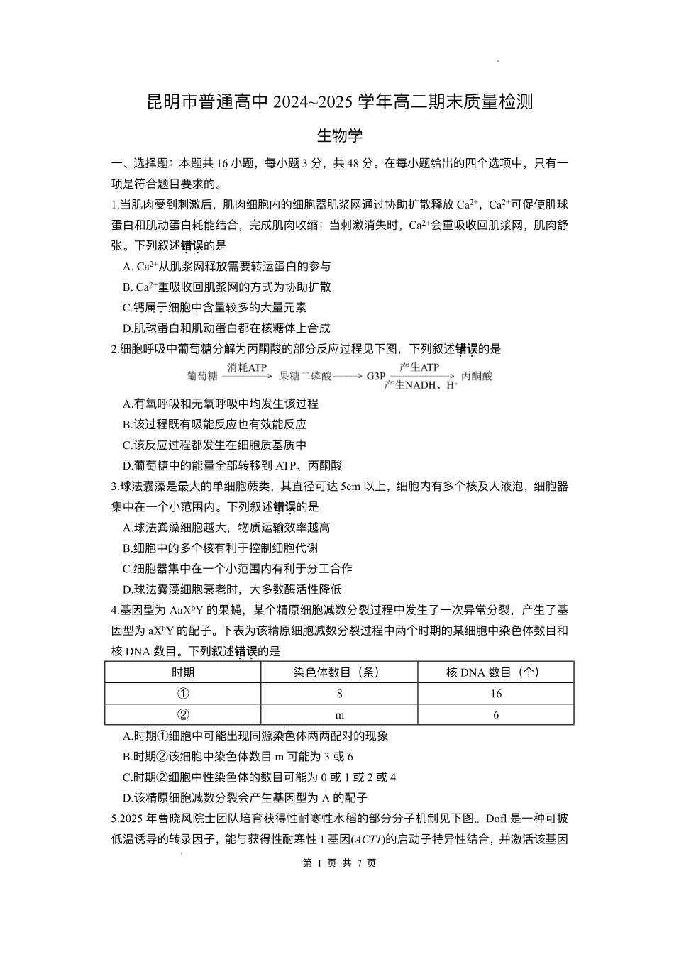 云南昆明2024-2025学年高二下学期期末质量监测生物试卷（含答案）_副本.pdf_第1页