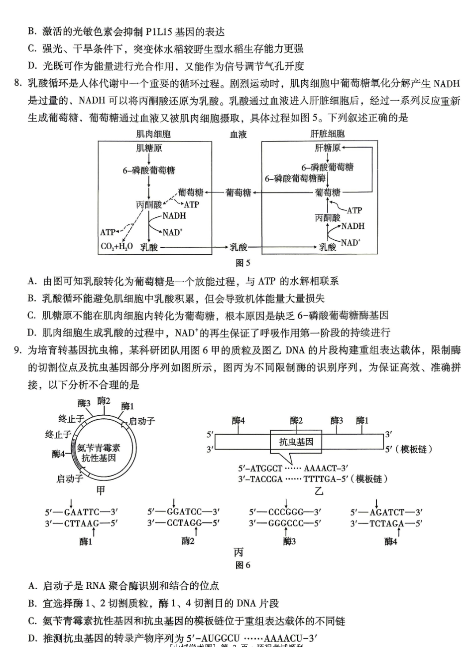 重庆八中高2026届5月适应性月考(七)生物.pdf_第3页