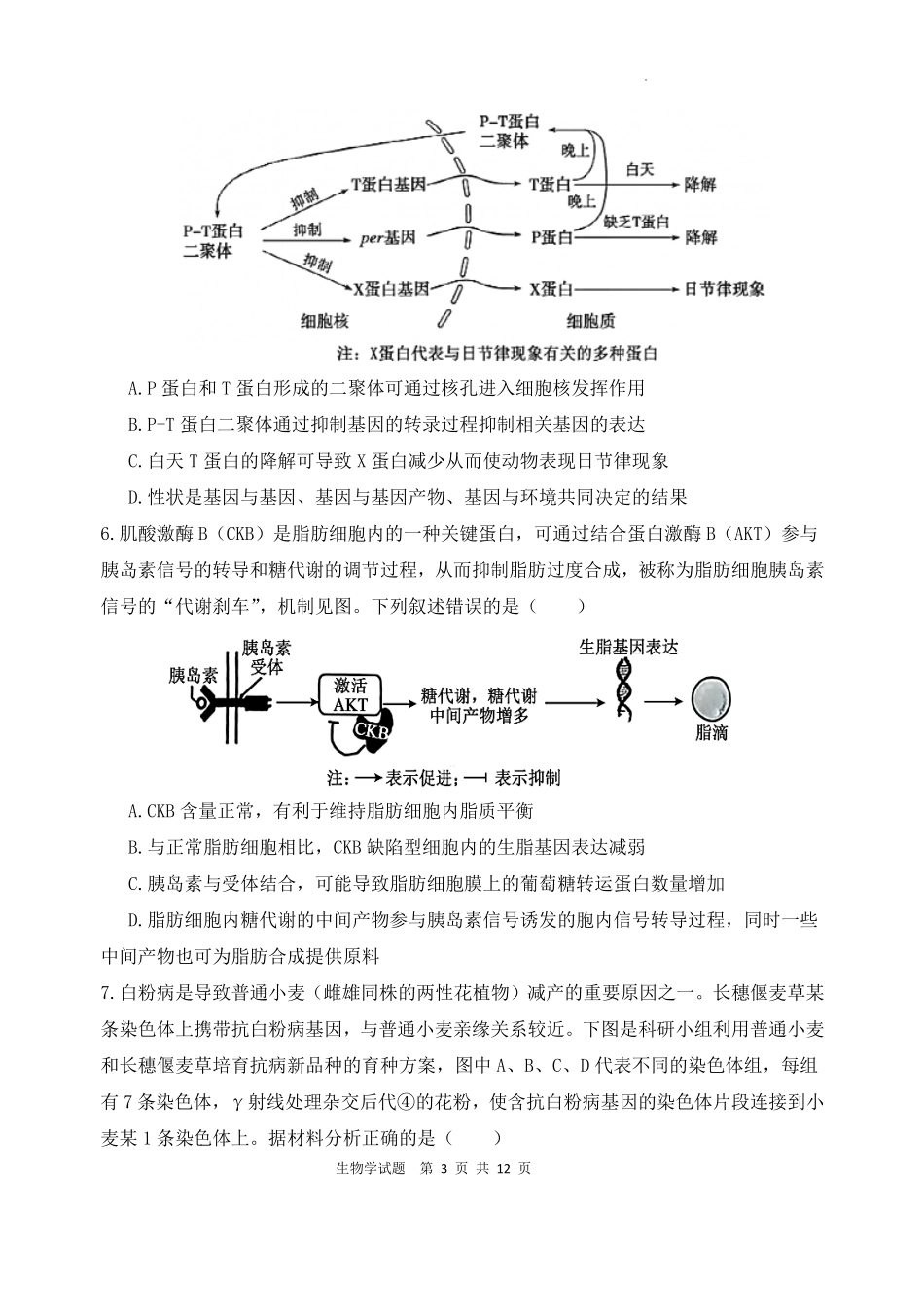 2025—2026学年度高三年级第九次模考生物.pdf_第3页