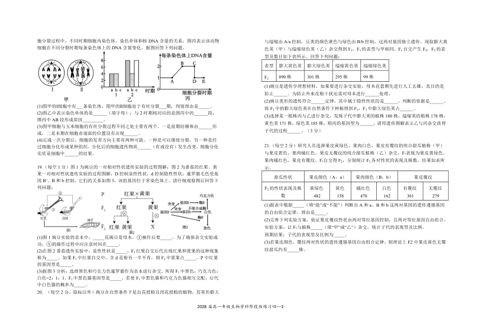 2028届高一年级生物学科阶段性练习四.pdf_第3页