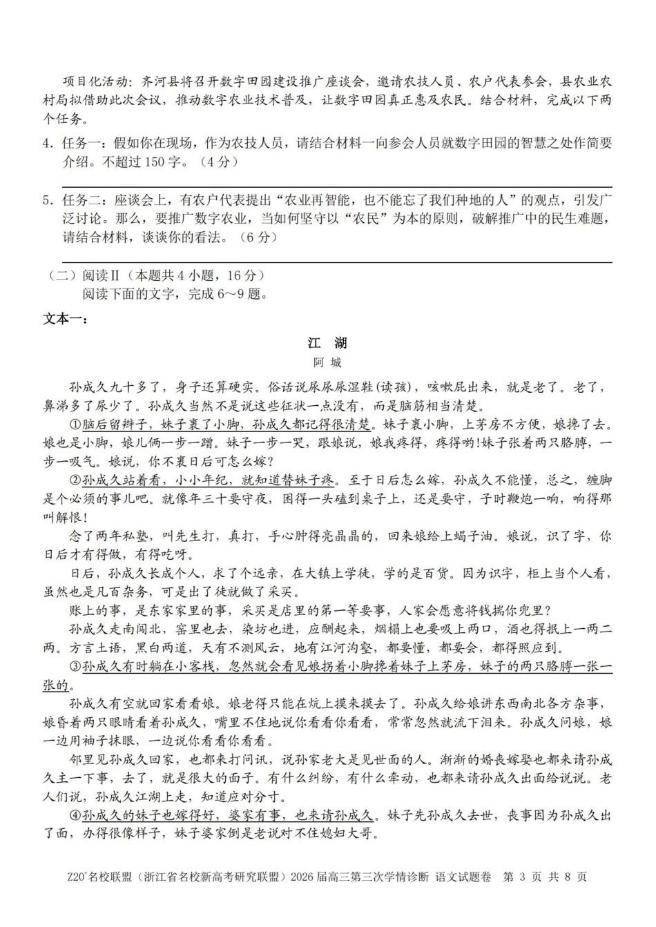 Z20名校联盟(浙江名校新高考研究联盟)2026届高三第三次学情诊断语文.pdf_第3页