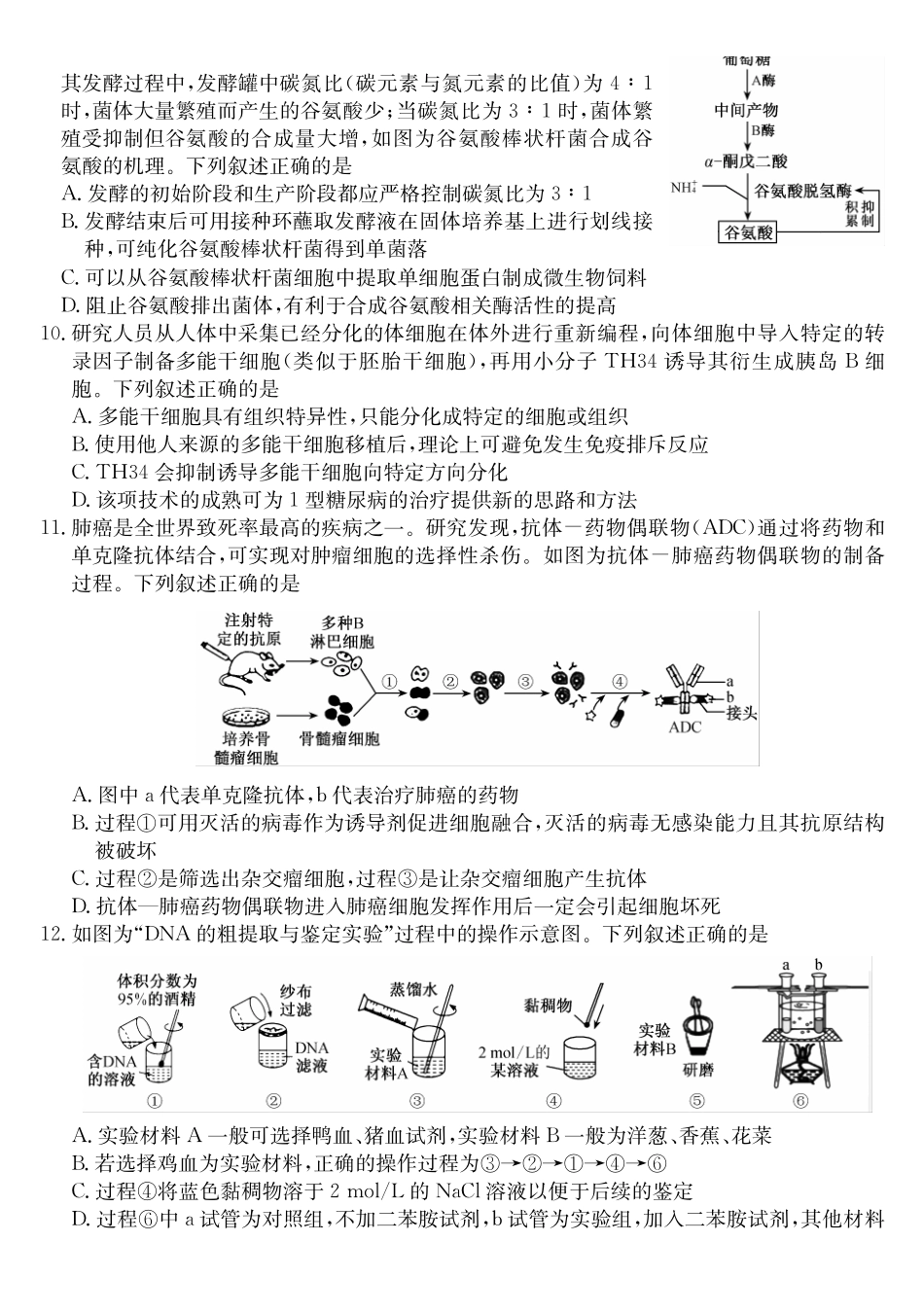 安徽县中联盟2024-2025学年高二下学期5月联考生物_副本.pdf_第3页