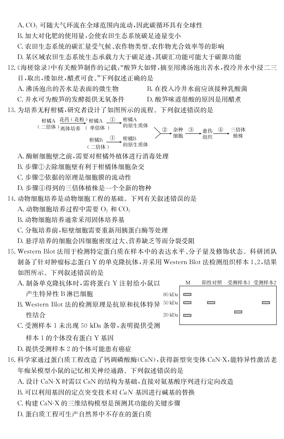 甘肃天水市2024-2025学年高二下学期7月阶段性检测生物_副本.pdf_第3页