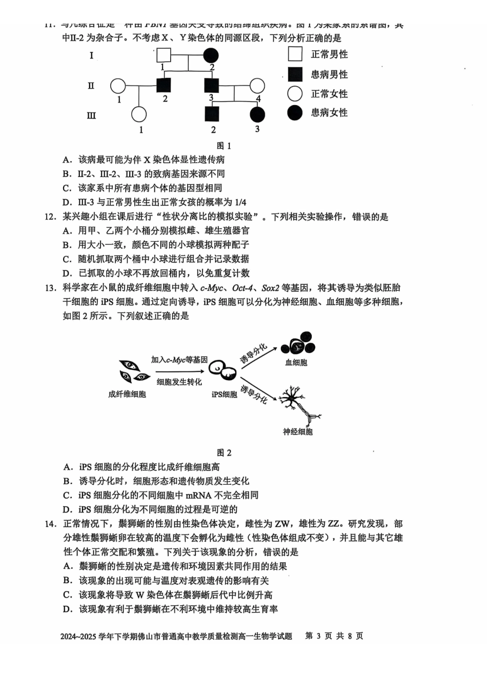 广东佛山市2024-2025学年高一下学期6月期末生物_副本.pdf_第3页