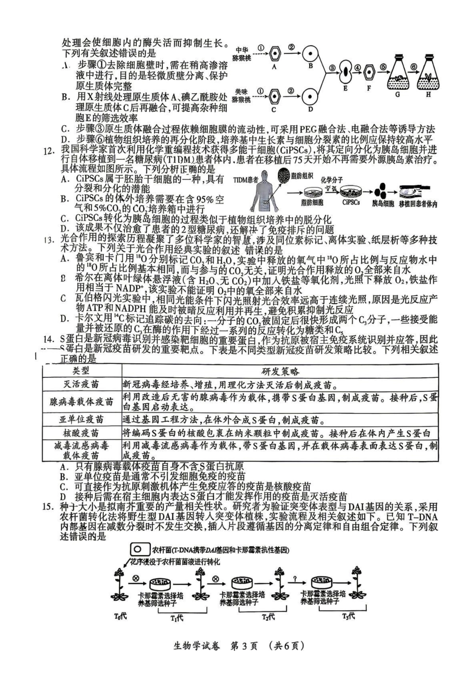 桂林市2025-2026学年度下学期期末质量检测生物.pdf_第3页