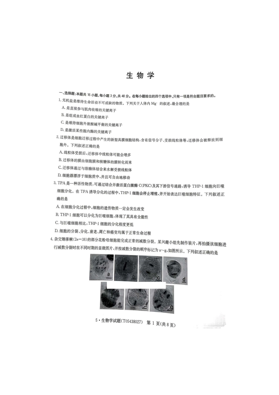 河南华大新高考联盟2026届高三下学期5月联考生物试卷（含答案）.pdf_第1页