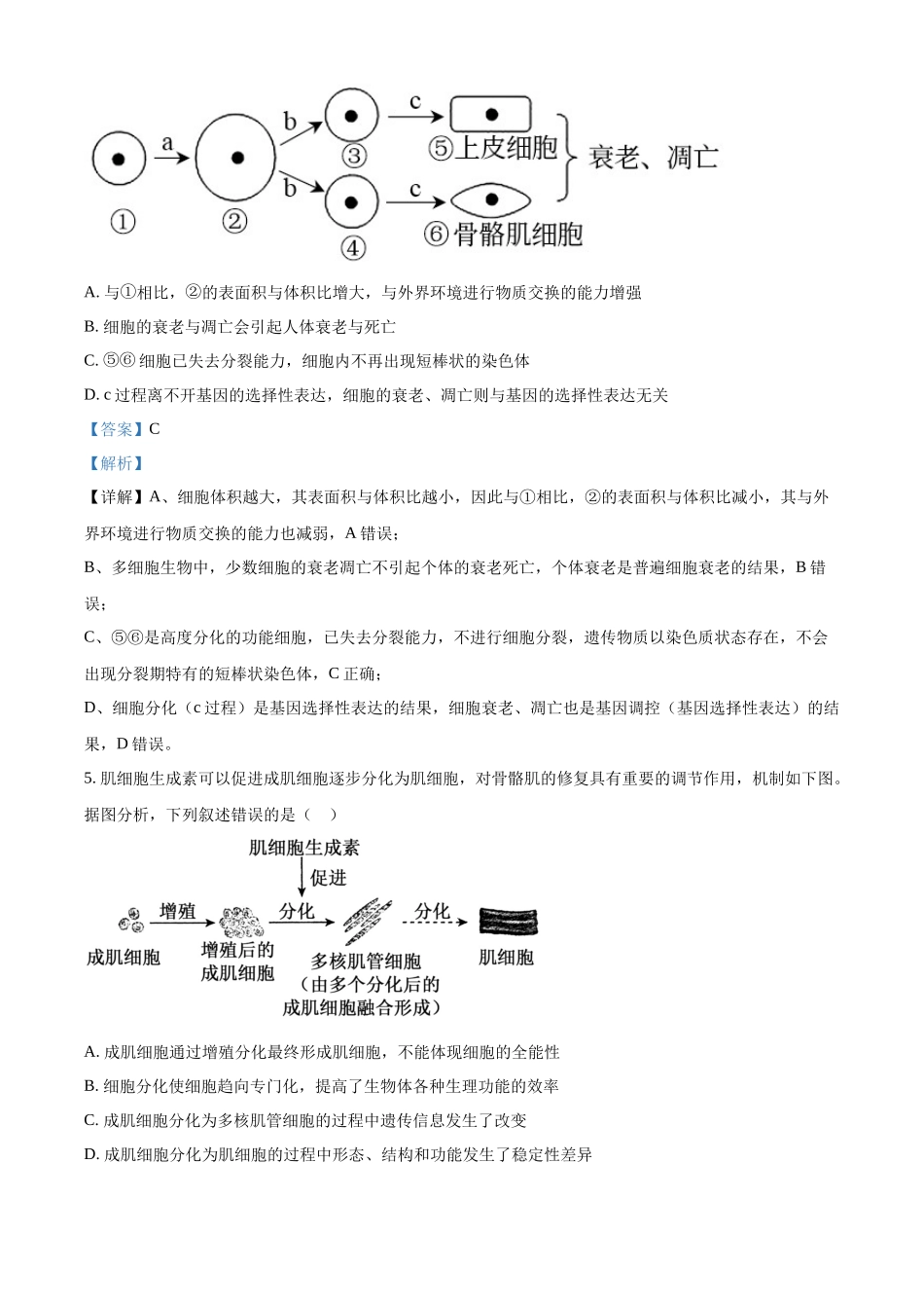 湖北恩施土家族苗族自治州恩施州高中教学联盟2025-2026学年高一下学期4月期中生物试题(解析版).docx_第3页