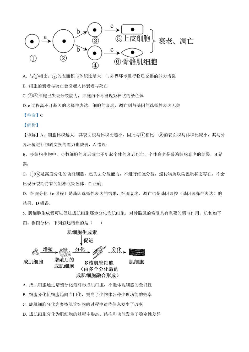 湖北恩施土家族苗族自治州恩施州高中教学联盟2025-2026学年高一下学期4月期中生物试题（解析版）.pdf_第3页