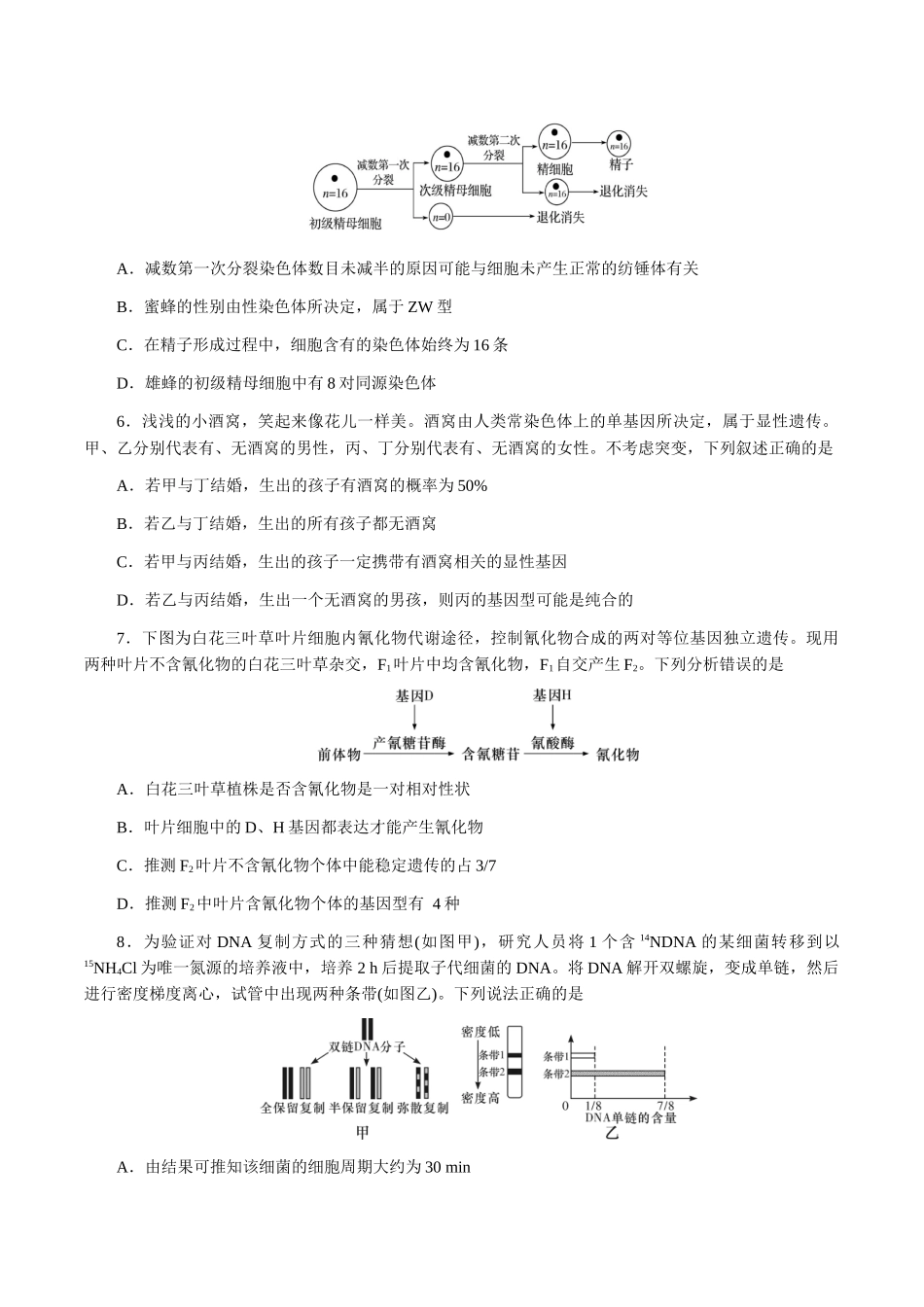 湖南师范大学附属中学2024-2025学年高一下学期第二次大练习(5月)生物试卷(有答案)_副本.docx_第2页