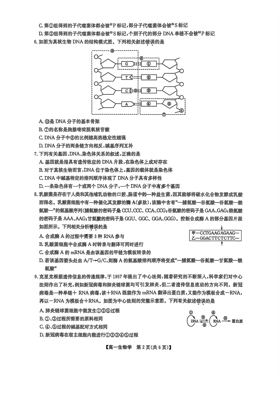 九师联盟2024-2025学年高一下学期7月期末联考生物_副本.pdf_第2页