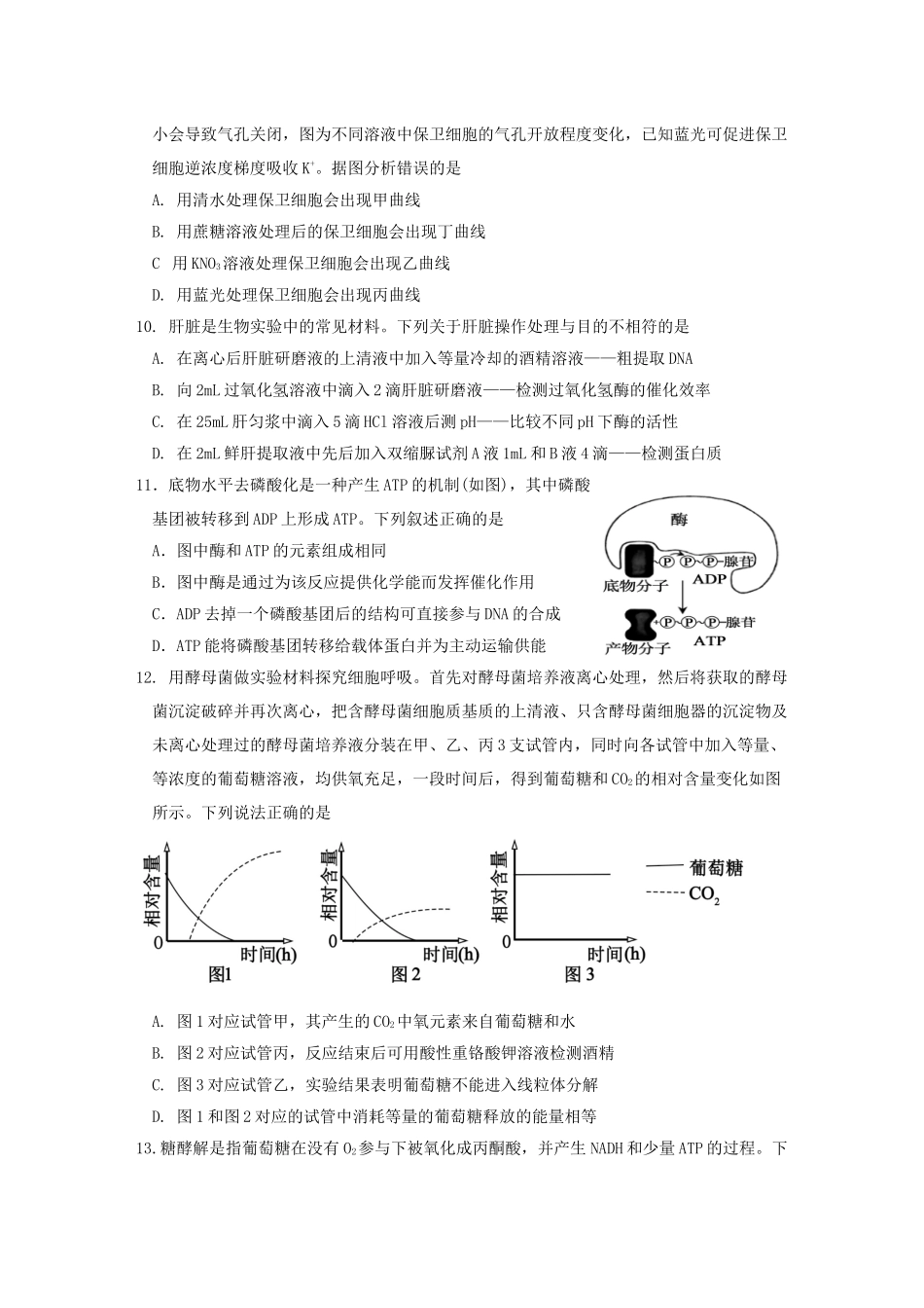 山东济宁市邹城市第一中学2024-2025学年高二下学期5月月考生物试题（含答案）_副本.docx_第3页