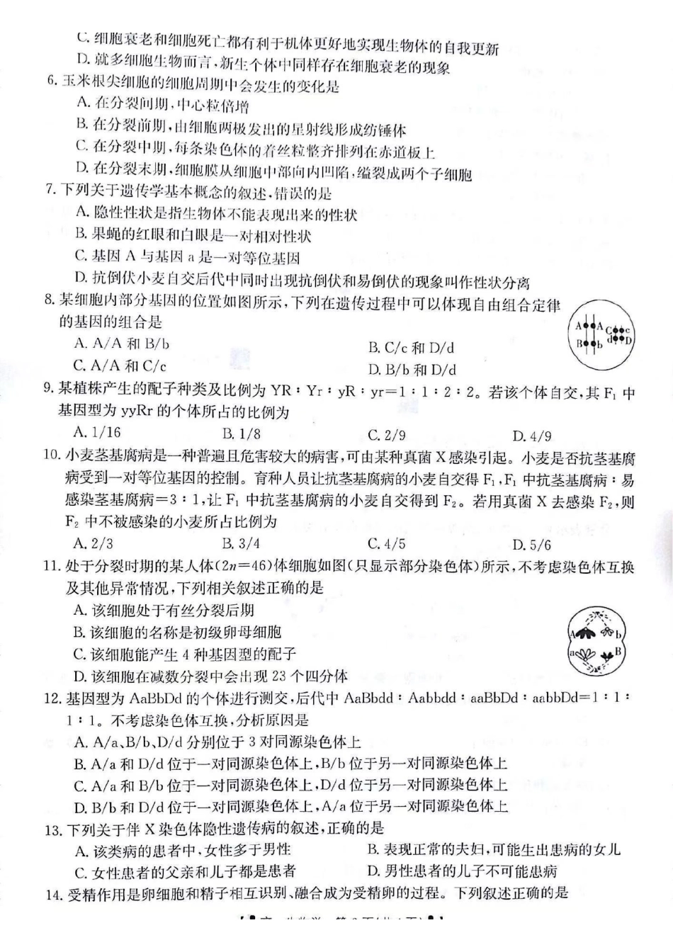 生物-甘肃2023-2024学年高一下学期5月期中(金太阳501A)_副本.pdf_第2页