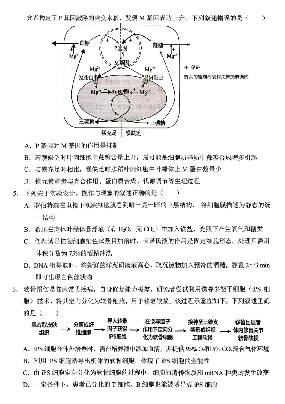 西南大学附中高2026届适应性测试（一）生物.pdf_第2页