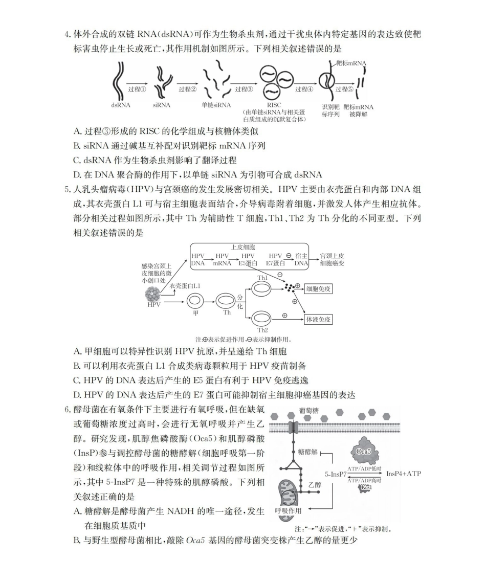 新疆2026届高三下学期4月联考理综.pdf_第2页